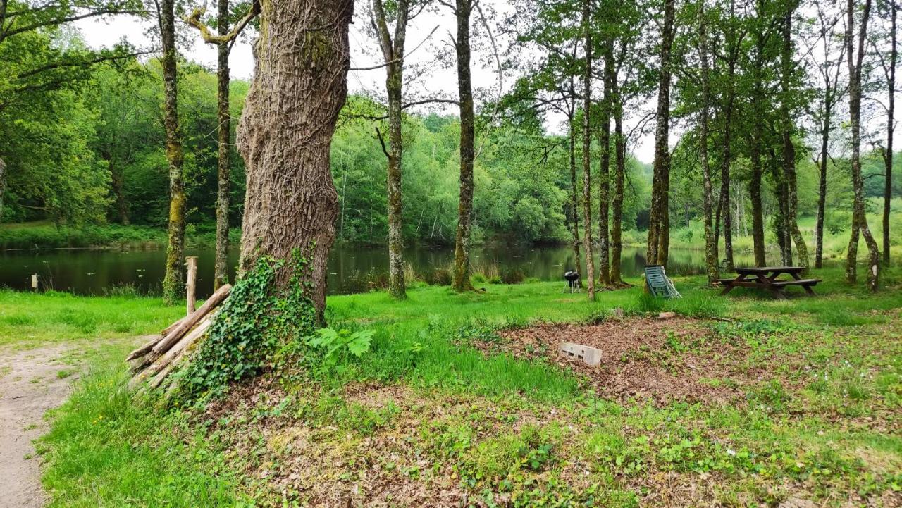 Cap Nature - T4 Et T3 En Perigord Vert - Ideal Pros Et Groupes Max 18P Champniers-et-Reilhac Buitenkant foto